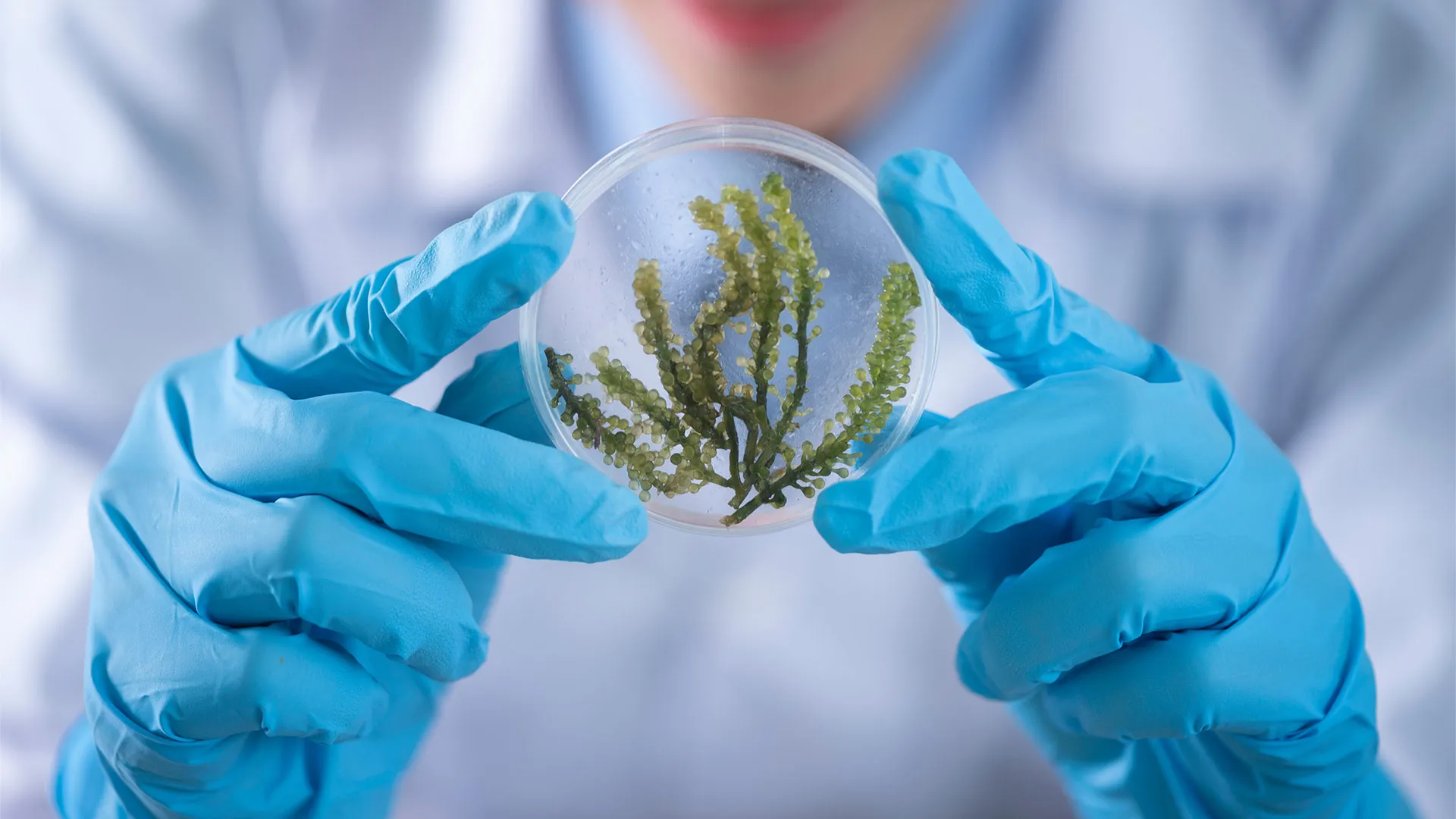 Estudiantes Tec campus Ciudad de México ganan beca para conferencia de biología sintética SynBioBeta