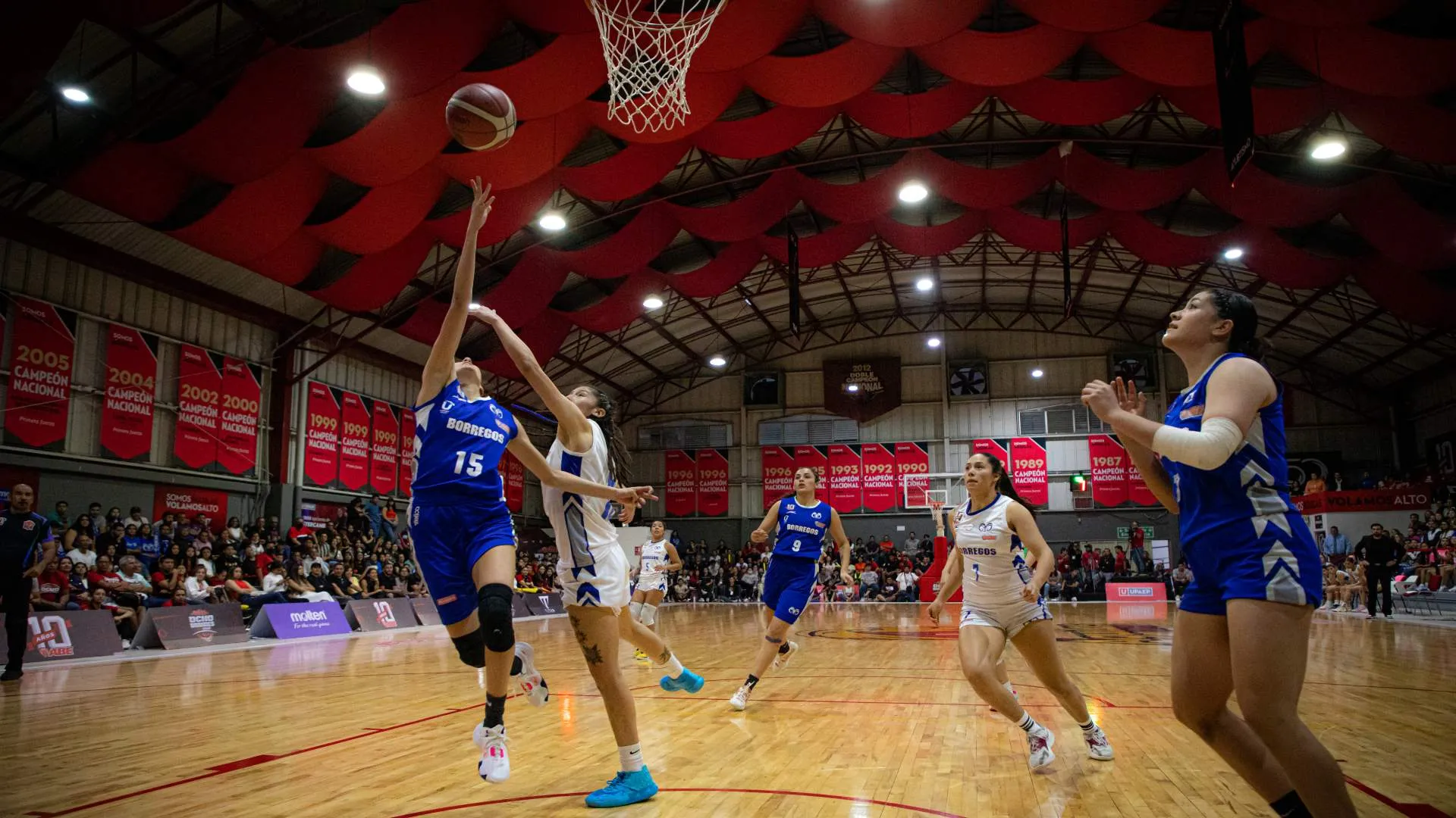 Las Borregas Monterrey logró el primer campeonato en la era de la Coach Sandra Rosales.