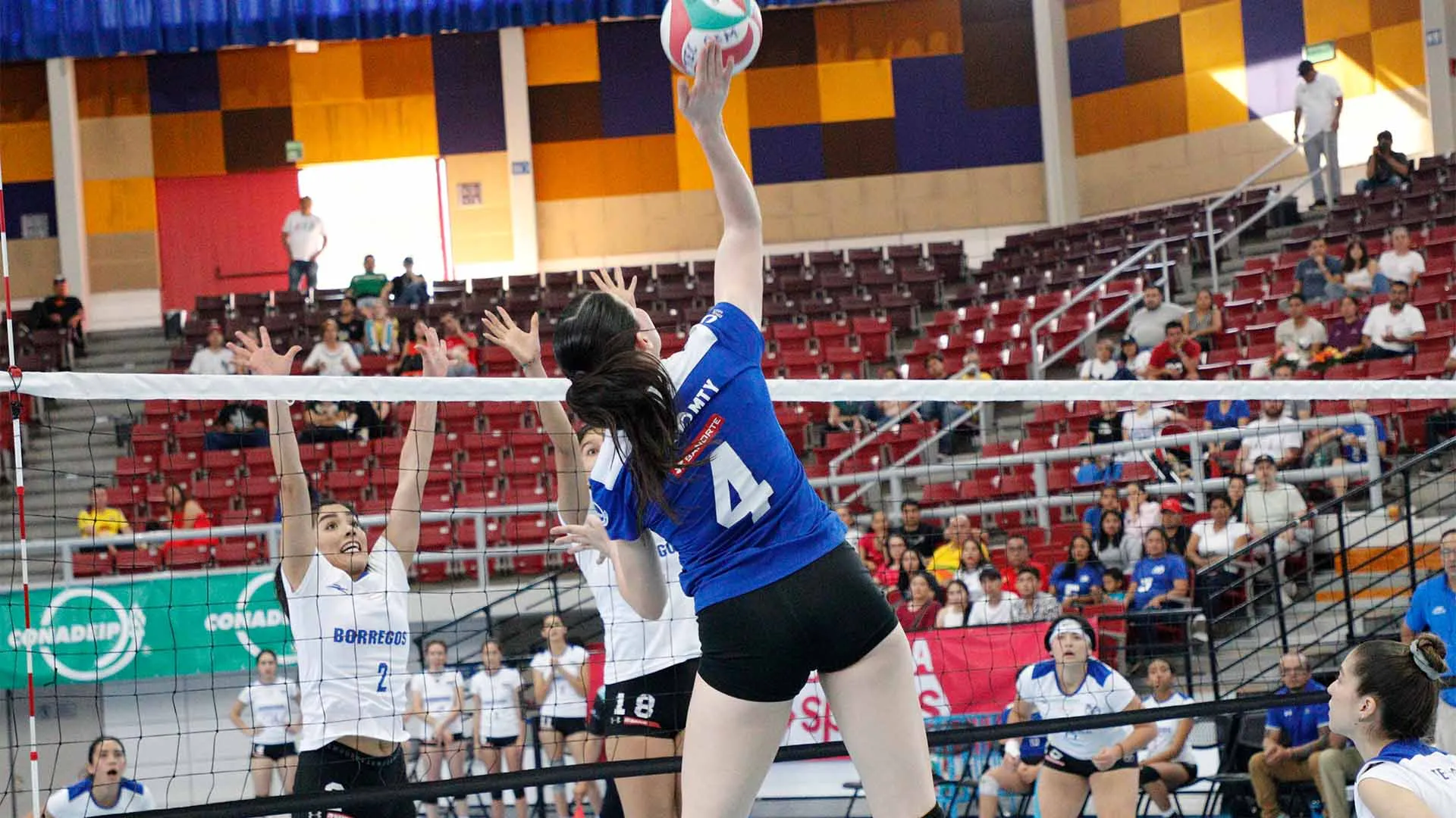 Tec de Monterrey, voleibol femenil, campeonas, CONADEIP