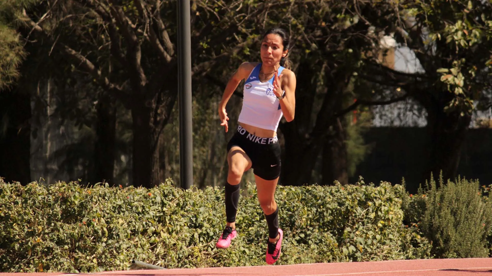 Representación de Borregos Laguna en macro regional de atletismo