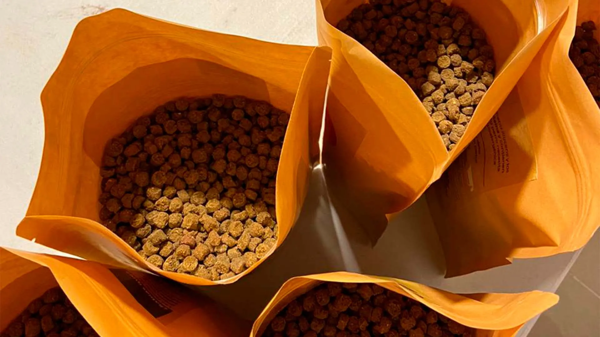 Estudiante Tec crea alimento sustentable para mascotas