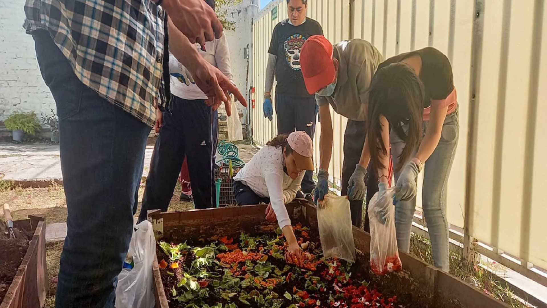 Estudiantes del Tec campus Querétaro en proyectos sociales en pro de personas con discapacidad