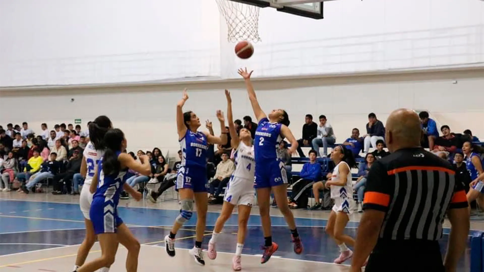 ¡Oro y plata! Borregos Toluca triunfan en nacional de basquetbol