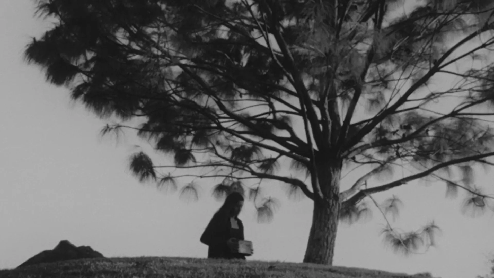 Portada del cortometraje Dasein