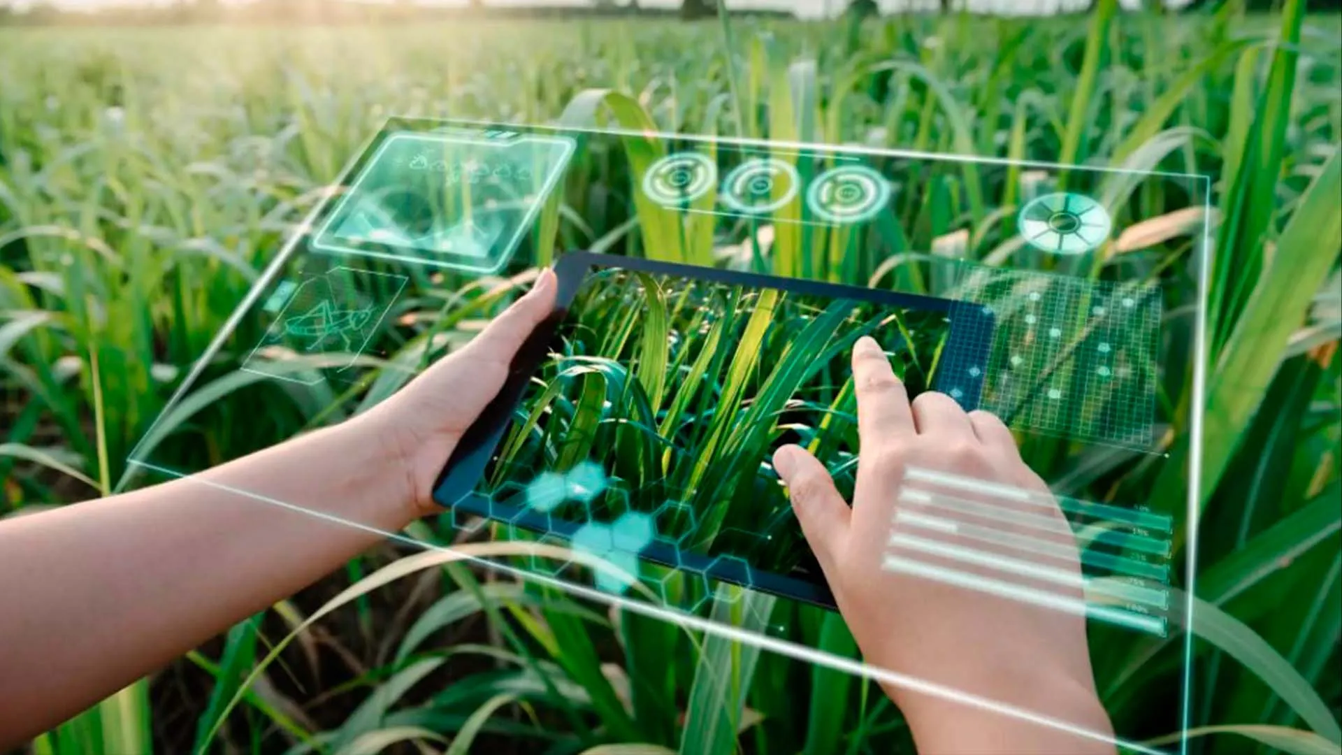 mapeo-agrotech-empresa-exatec