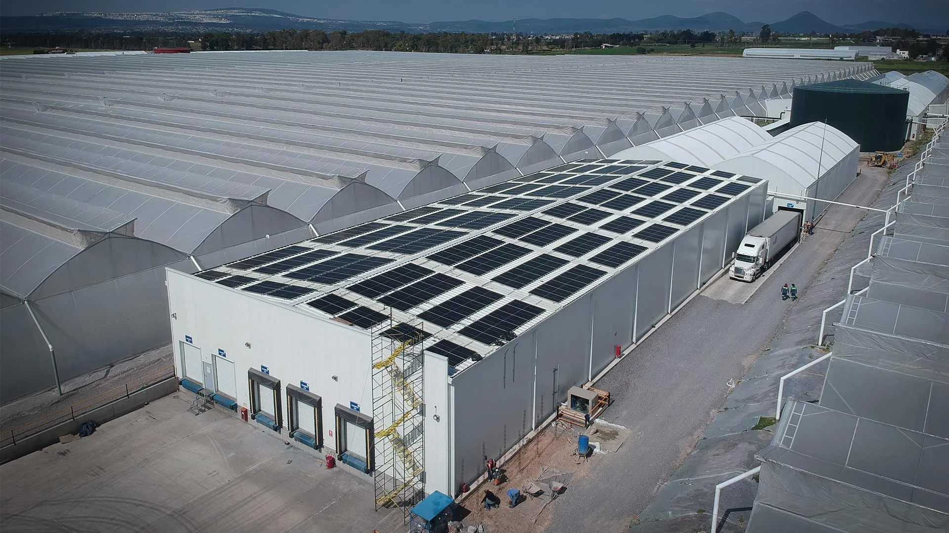 Tec de Monterrey graduate Salomón Ashkenazi has founded NISA Energy, an energy project developer that aims to decarbonize the energy sector in Mexico