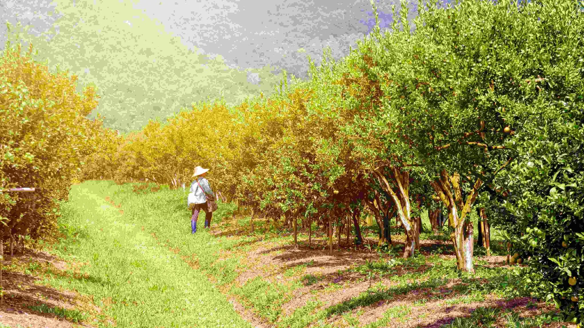 Tec_Campus_Puebla_destaca_con_proyectos_en_Indianápolis