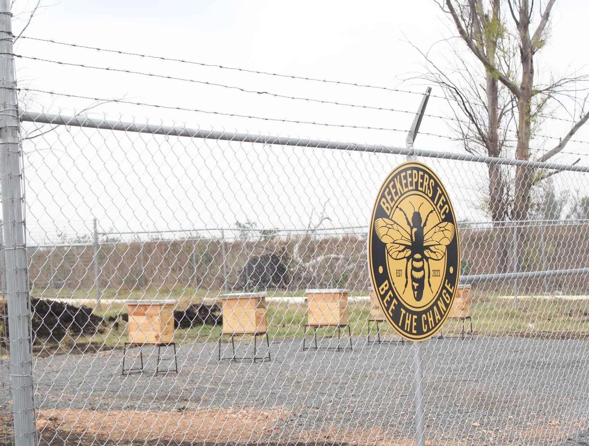 Tec campus Querétaro inaugura Beekeepers Tec, un apiario estudiantil donde se trabajan con abejas mieleras.
