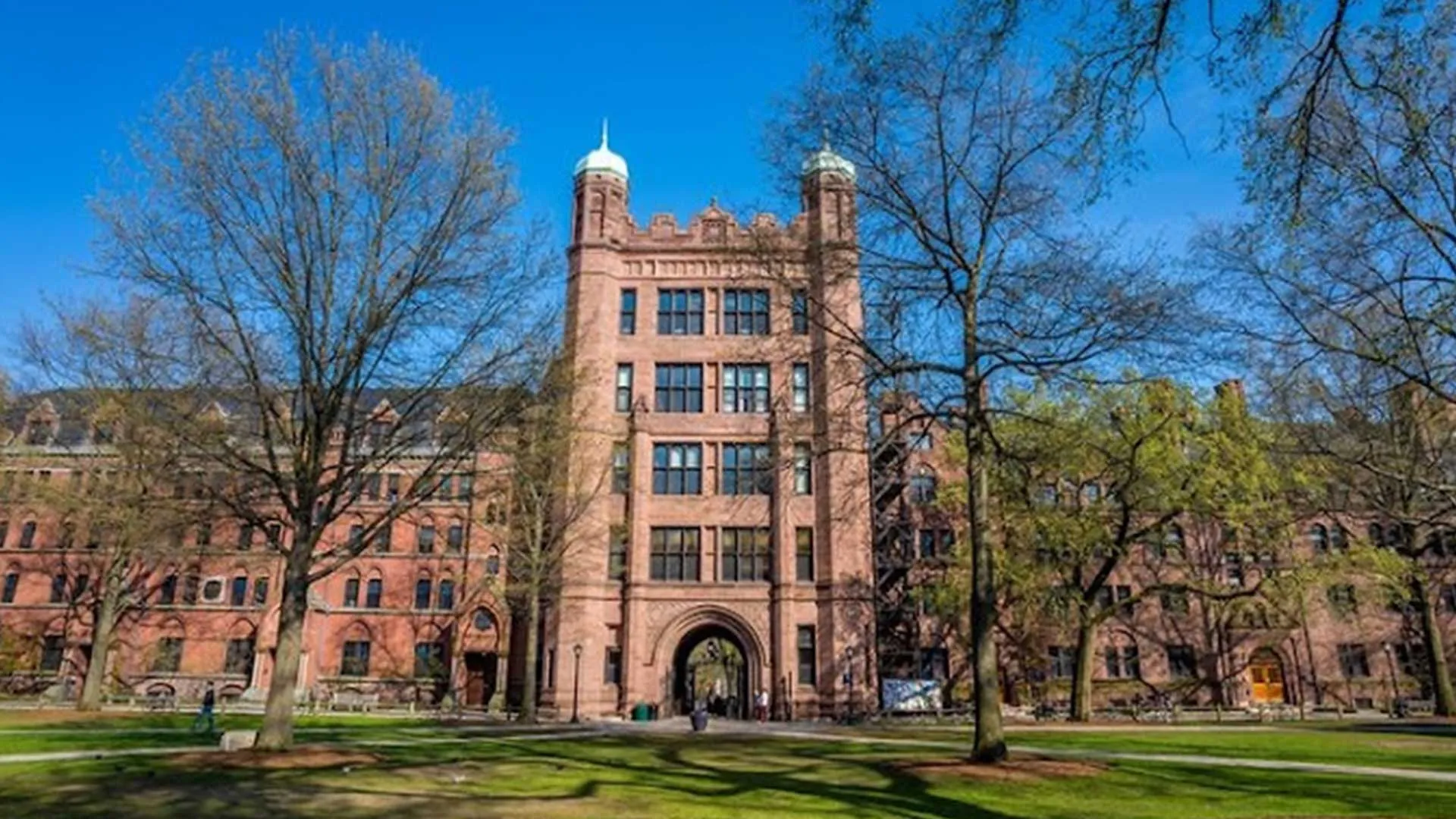 Blanca Ortega es aceptada en Yale