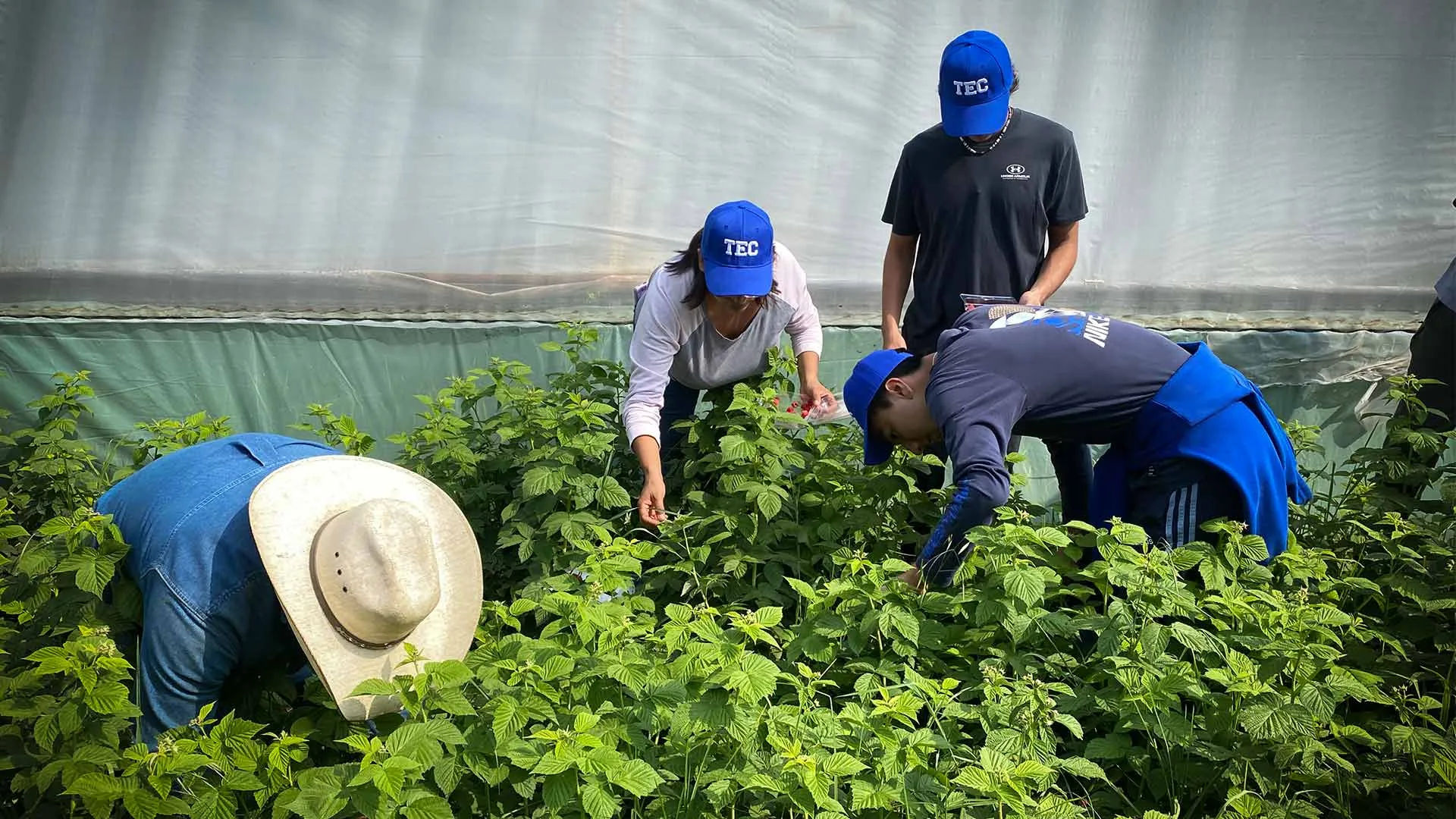 Estudiantes del Tec campus Santa Fe apoyan 5 causas sociales en verano de servicio social