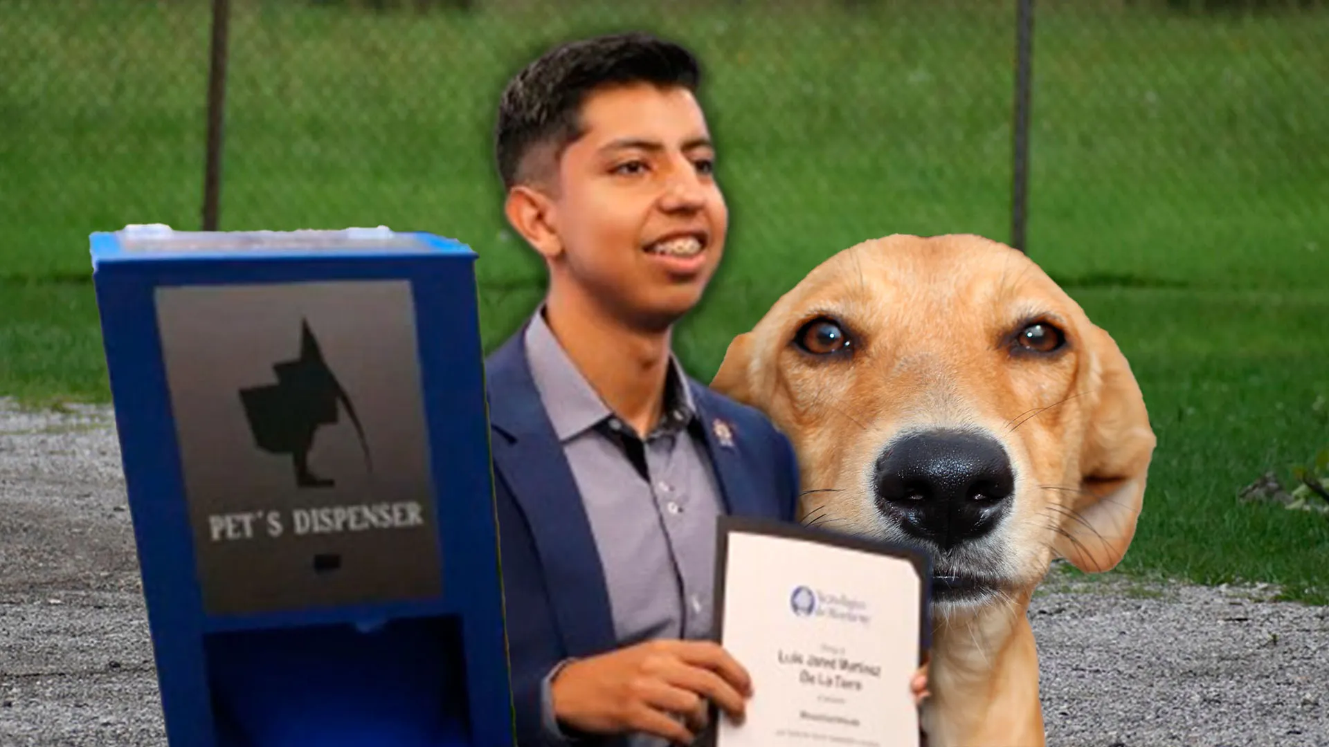 Ayuda a perritos sin hogar y gana beca del 100 % en el Tec