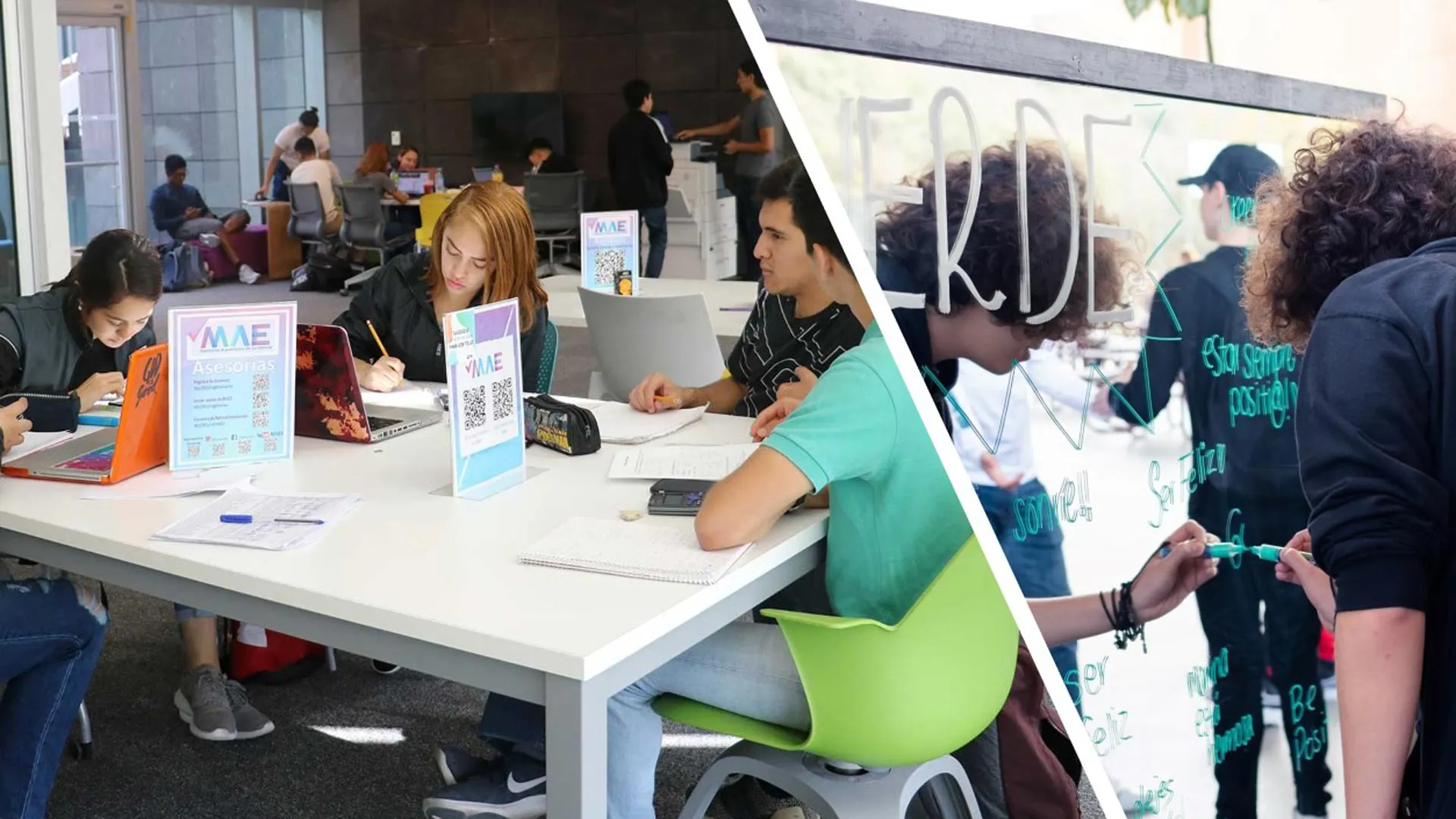 Los formadores LiFE se distinguieron por sus trabajos como mentor estudiantil y coordinación de actividades en PrepaTec Santa Catarina.