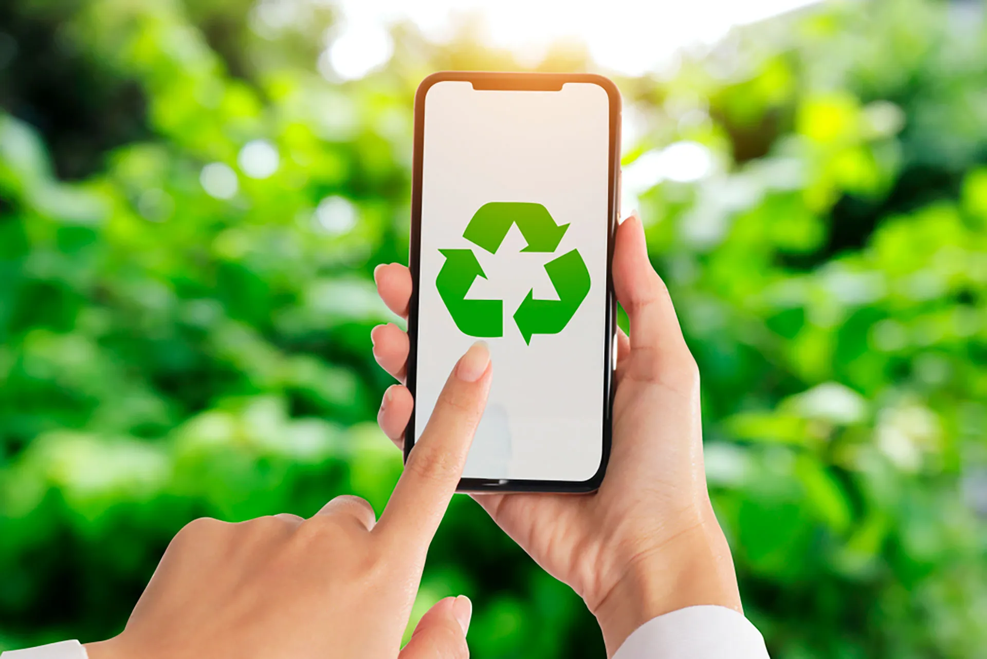 Alumnas del Tec campus Ciudad Juárez ganan Reto de Negocios  Grupo Bimbo