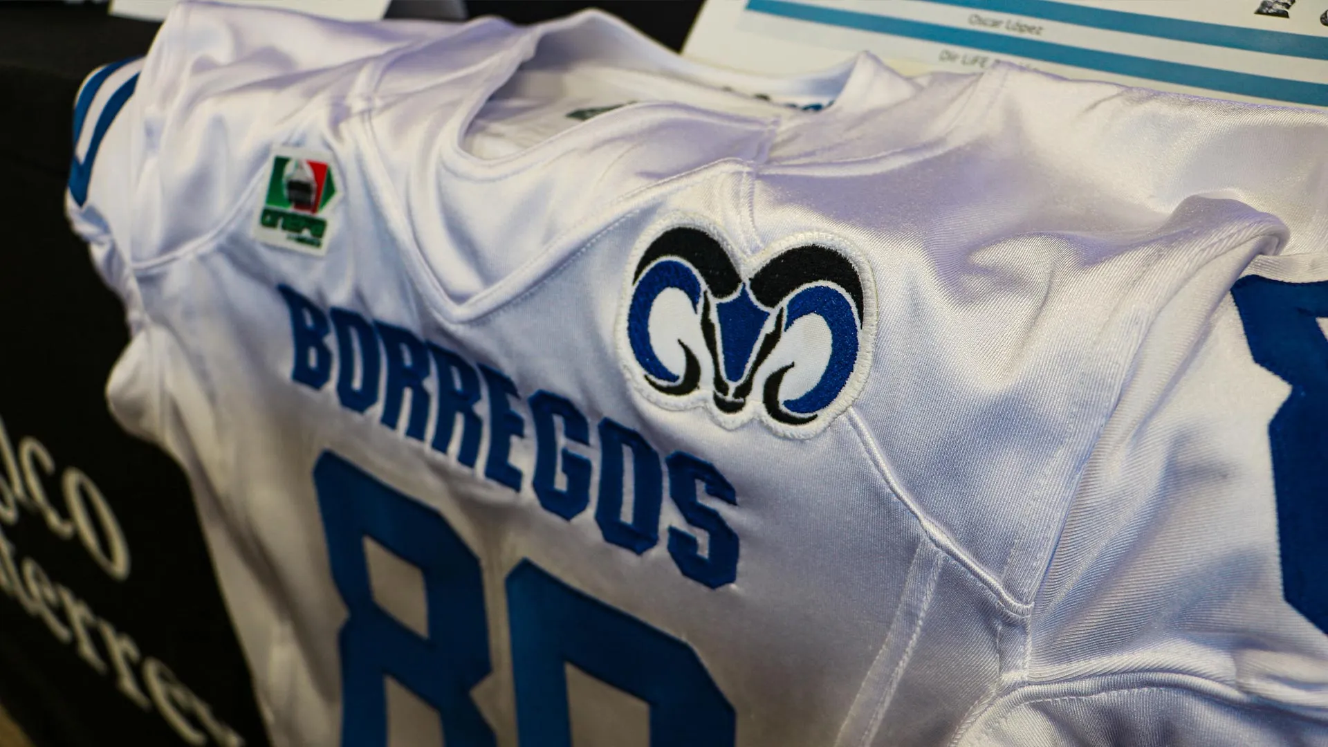 Borregos CCM regresa por segundo año consecutivo a Liga Mayor de ONEFA