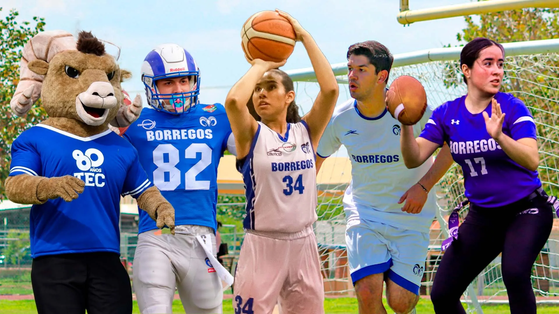 Borregos Laguna tiene acción en distintos deportes