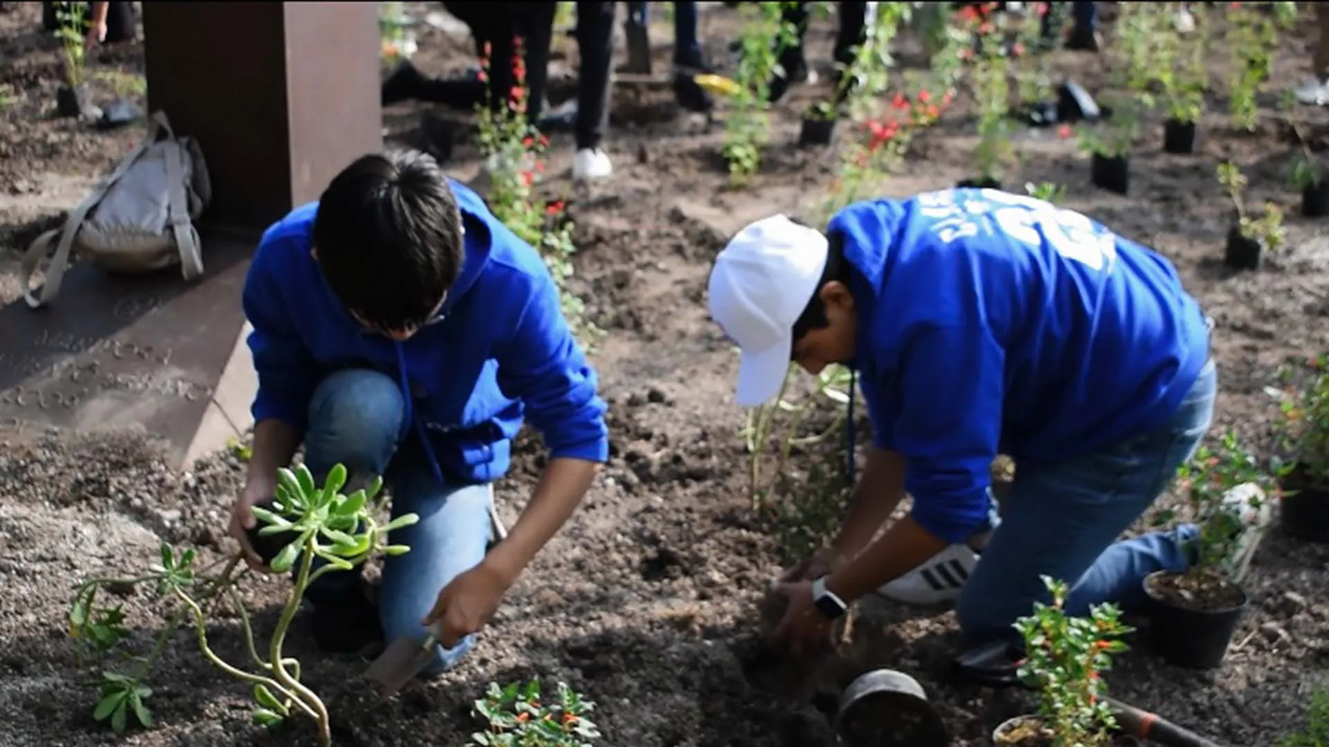 Alumnos de Prepa Tec construyen Jardines Polinizadores