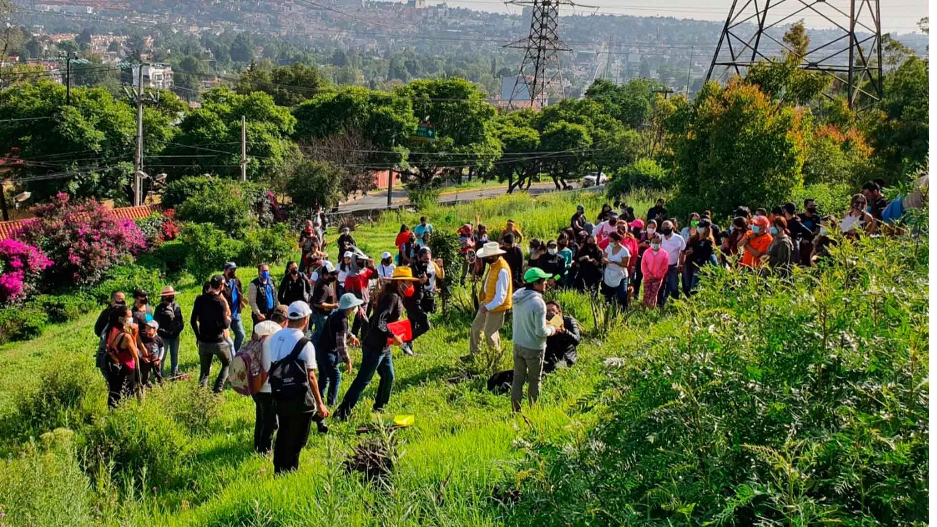 Gerardo Calderón, Young Trees, emprendimiento social, 2023