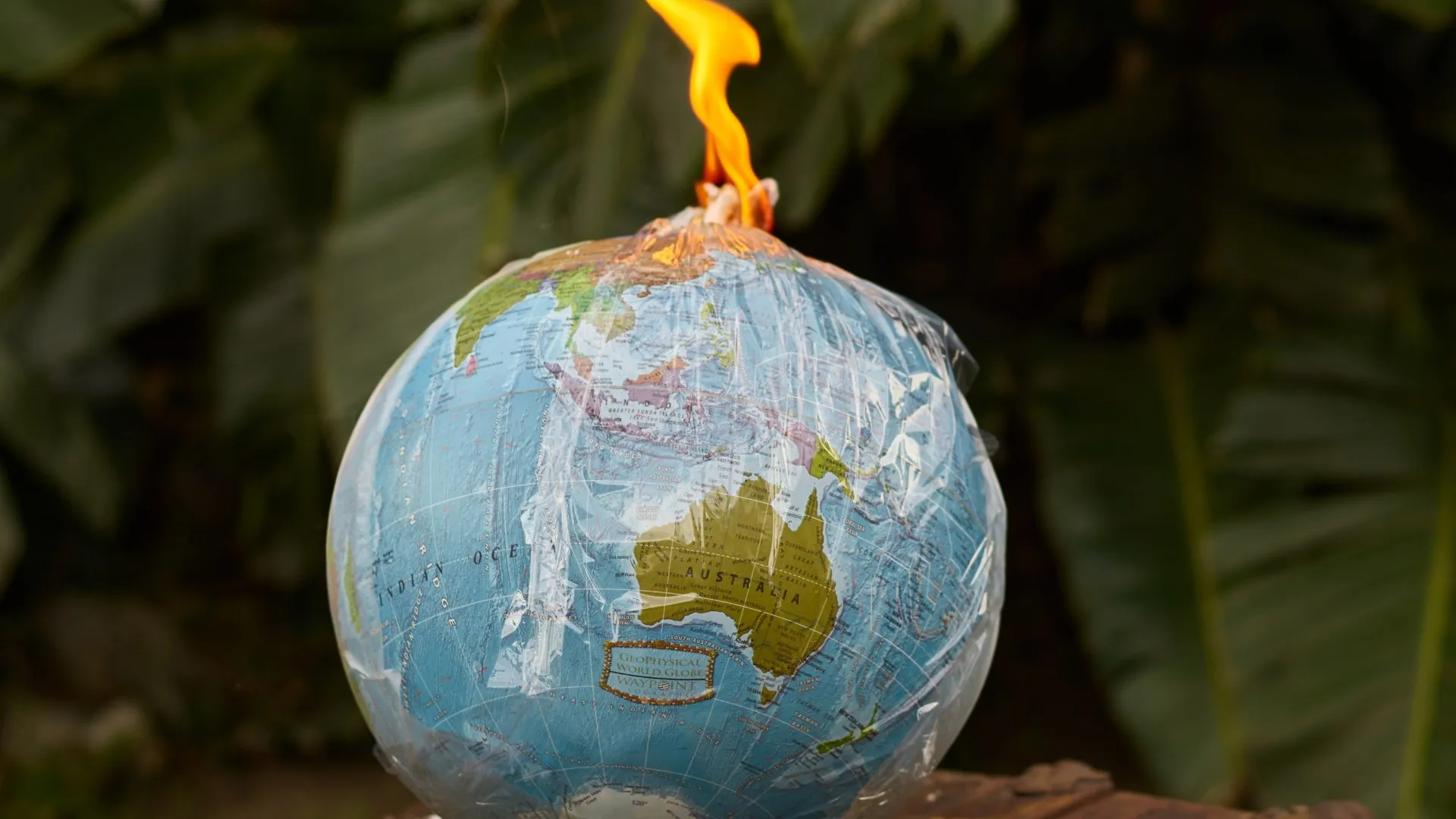 Neutraliza el dióxido de carbono para reducir su impacto negativo