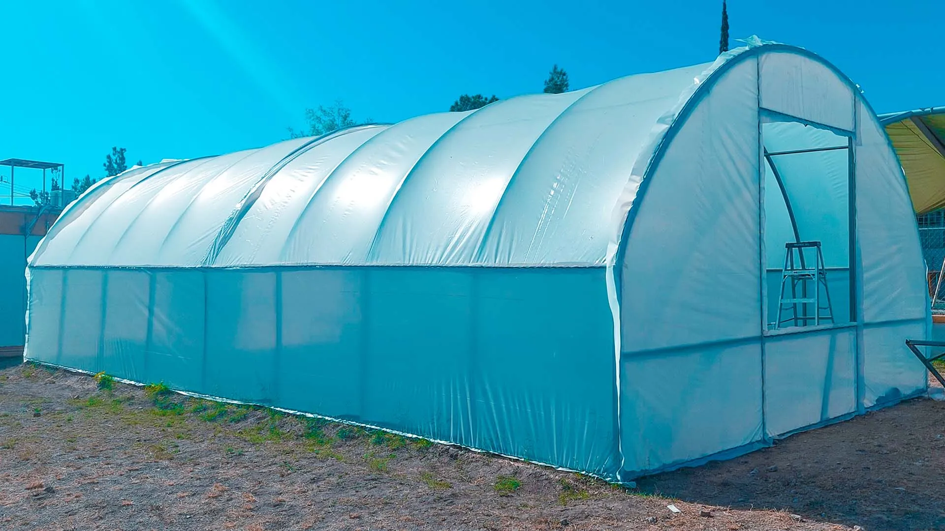 Proceso de reparación del invernadero en el CAM Chihuahua