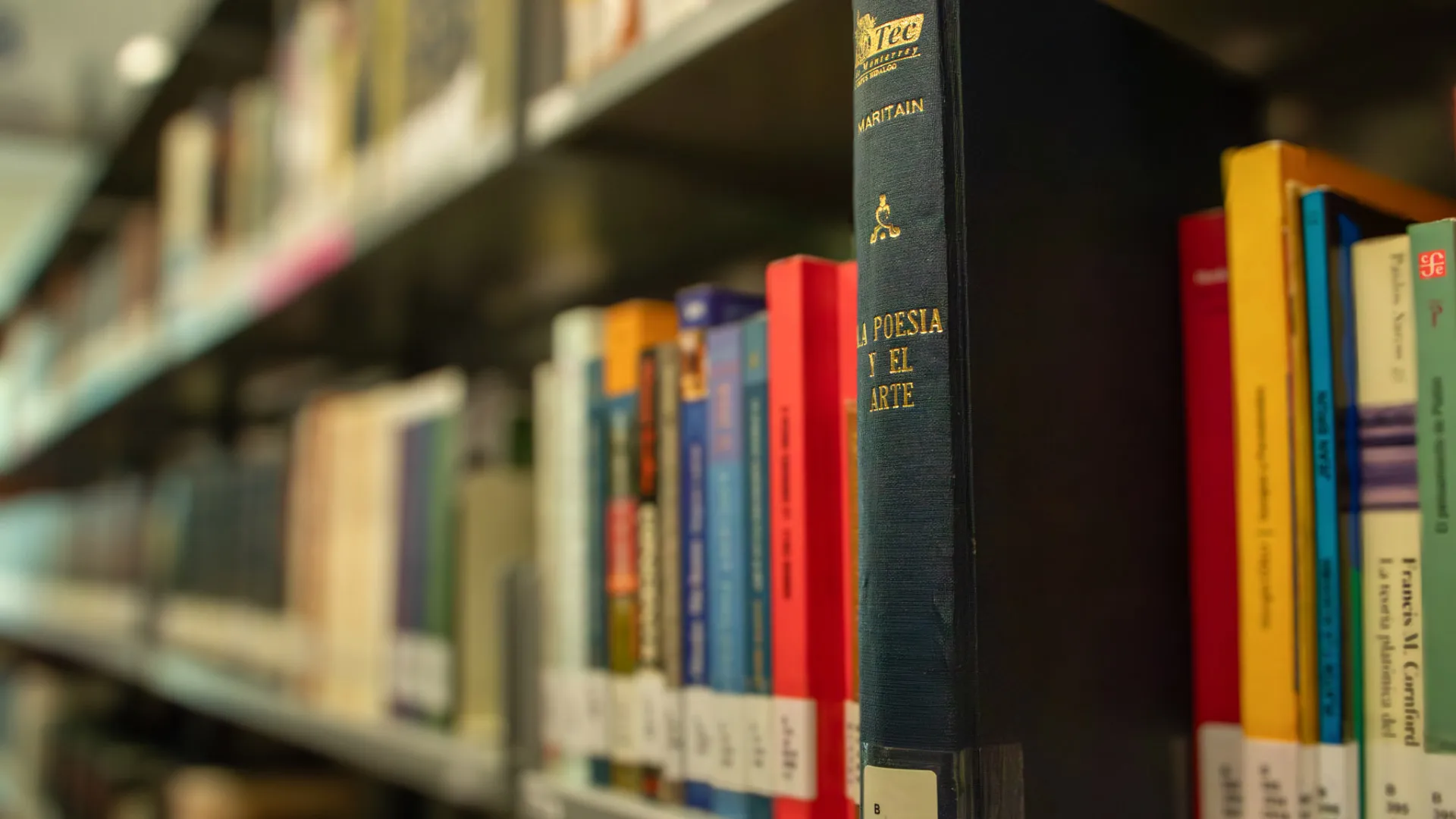 Libro de poesía y arte en la biblioteca de campus Hidalgo