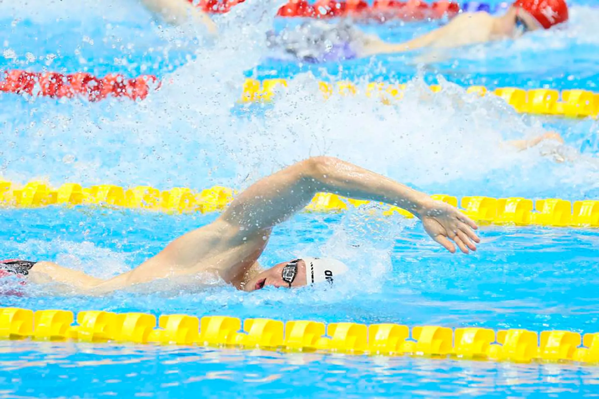 Dos egresados del Tec Guadalajara participaron en el campeonato mundial de natación.