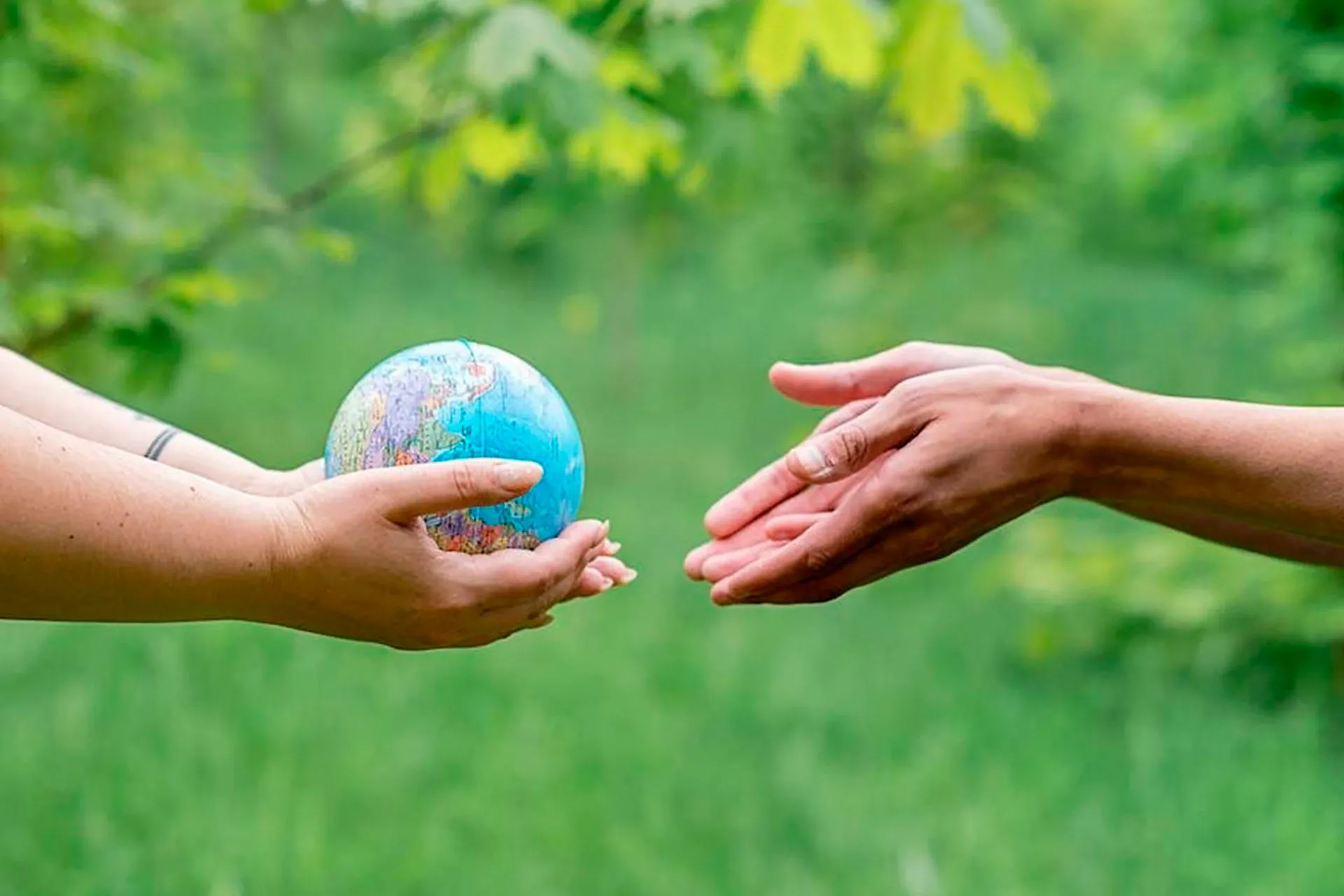 Tec y Cooperación Alemana presentan convocatoria CATAL1.5°T para emprendedores climáticos