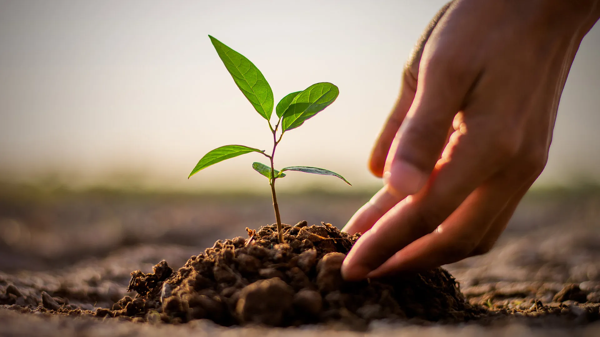 Estudiante de PrepaTec gana beca global