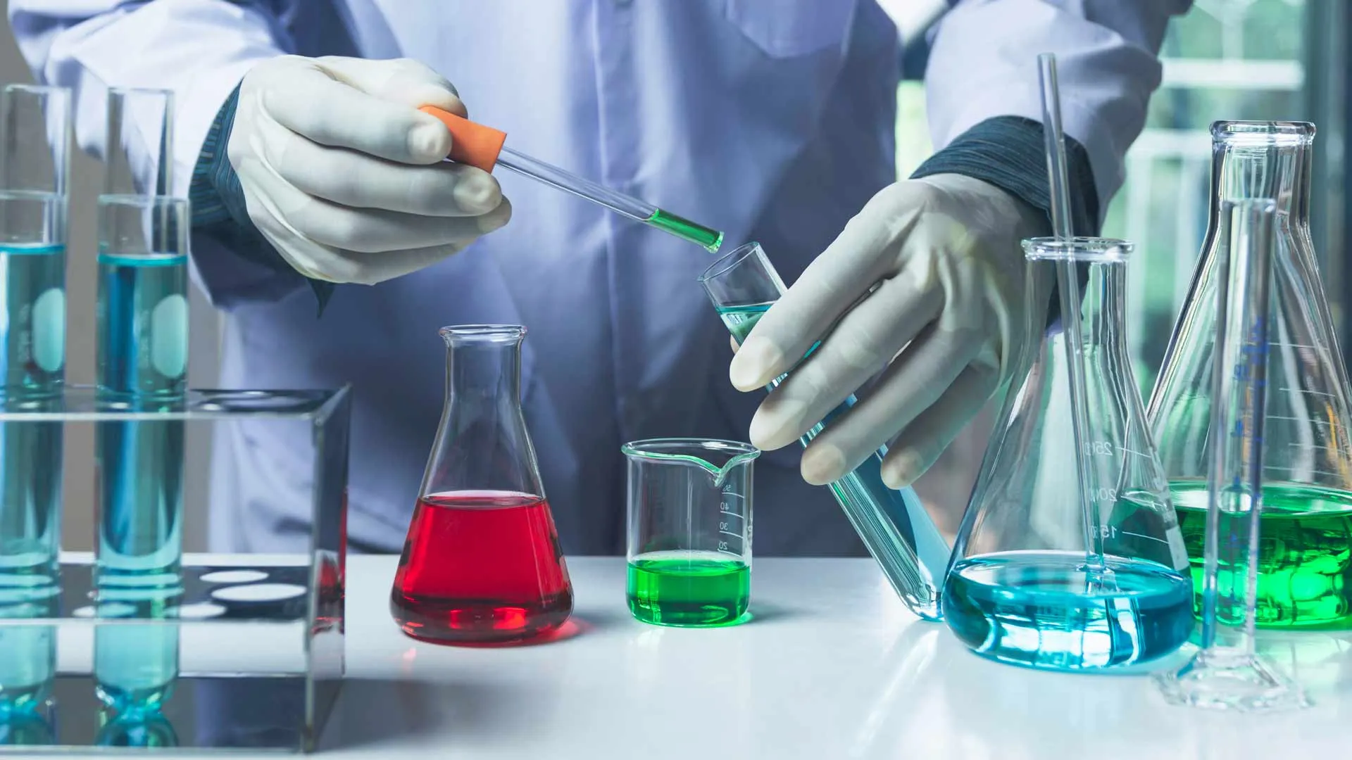 ¡Buena química! Estudiantes Tec destacan en competencias en Florida