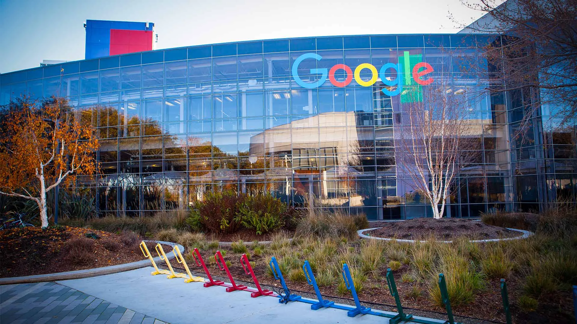 Estudiantes de CSF entre los 6 seleccionados para pasantía de Google