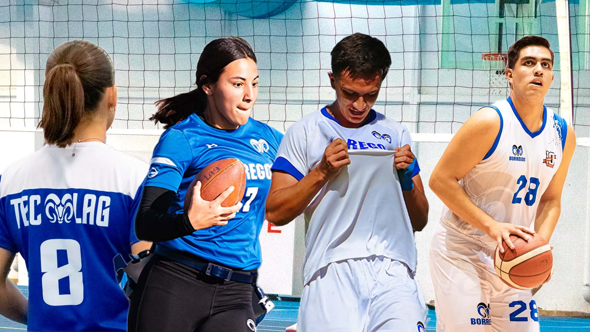 Los Borregos Laguna participaron en diferentes ligas locales, regionales y nacionales