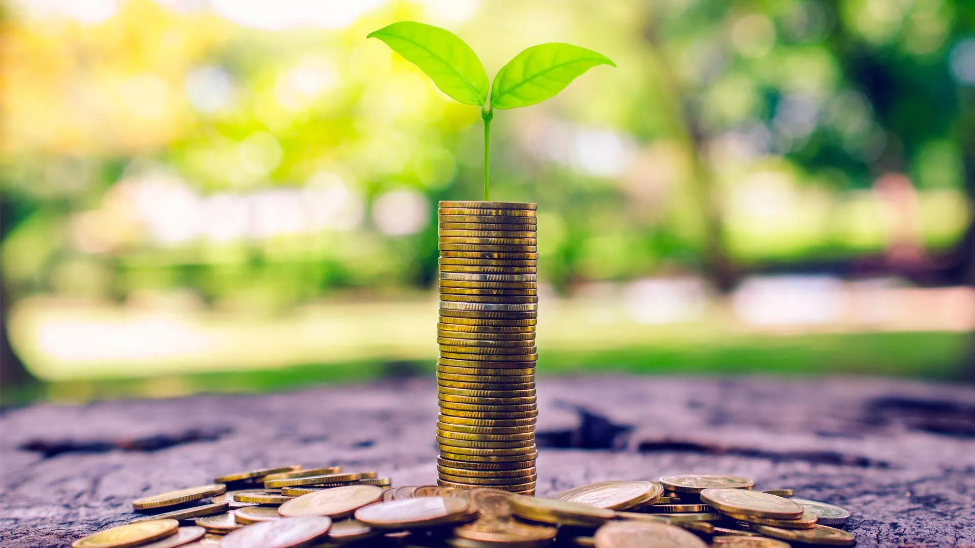 Alumnas PrepaTec en Cuernavaca ganan primer lugar de la XV edición del Premio Contacto Banxico.