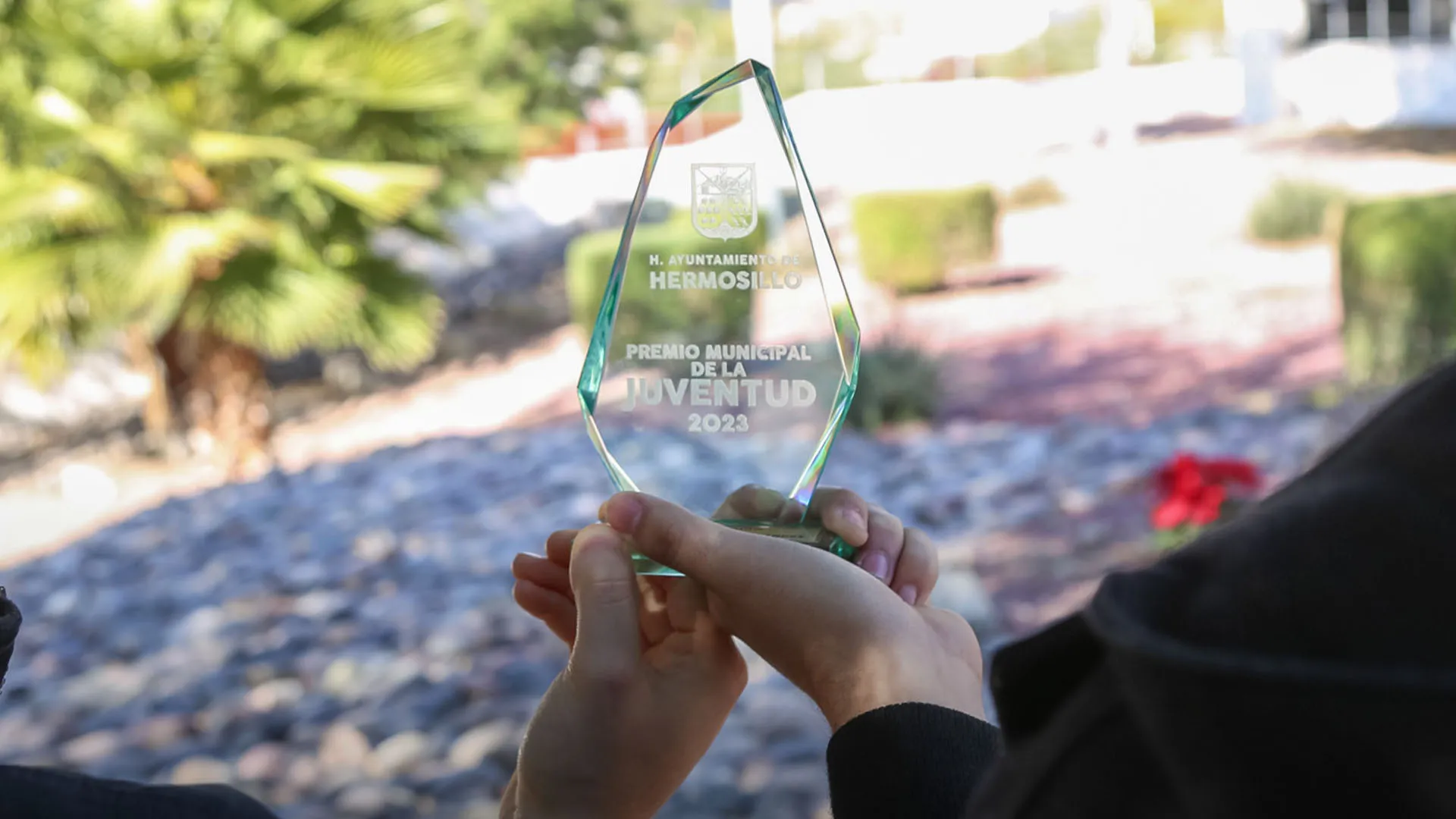 Manos sosteniendo un Premio Municipal a la Juventud