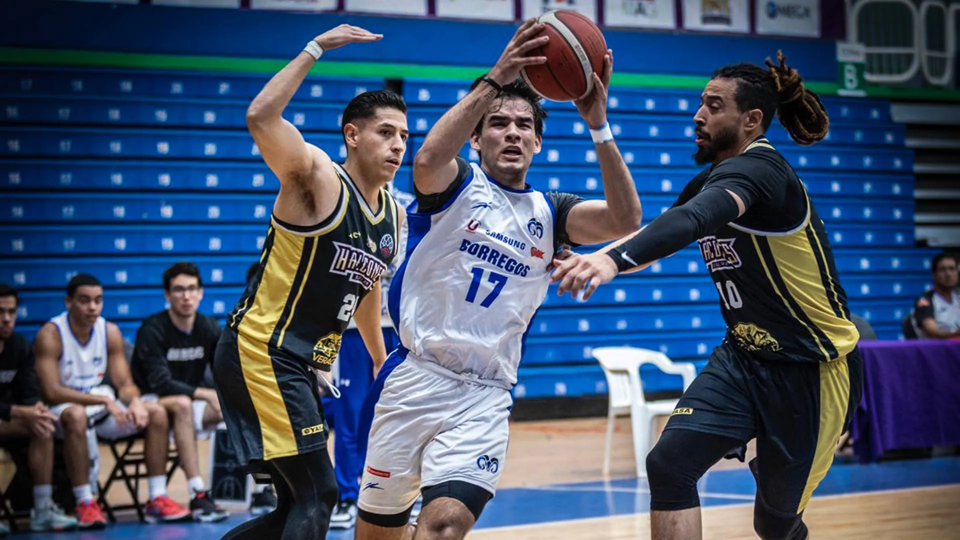 Borregos Tec juegan con ligas mayores de básquetbol