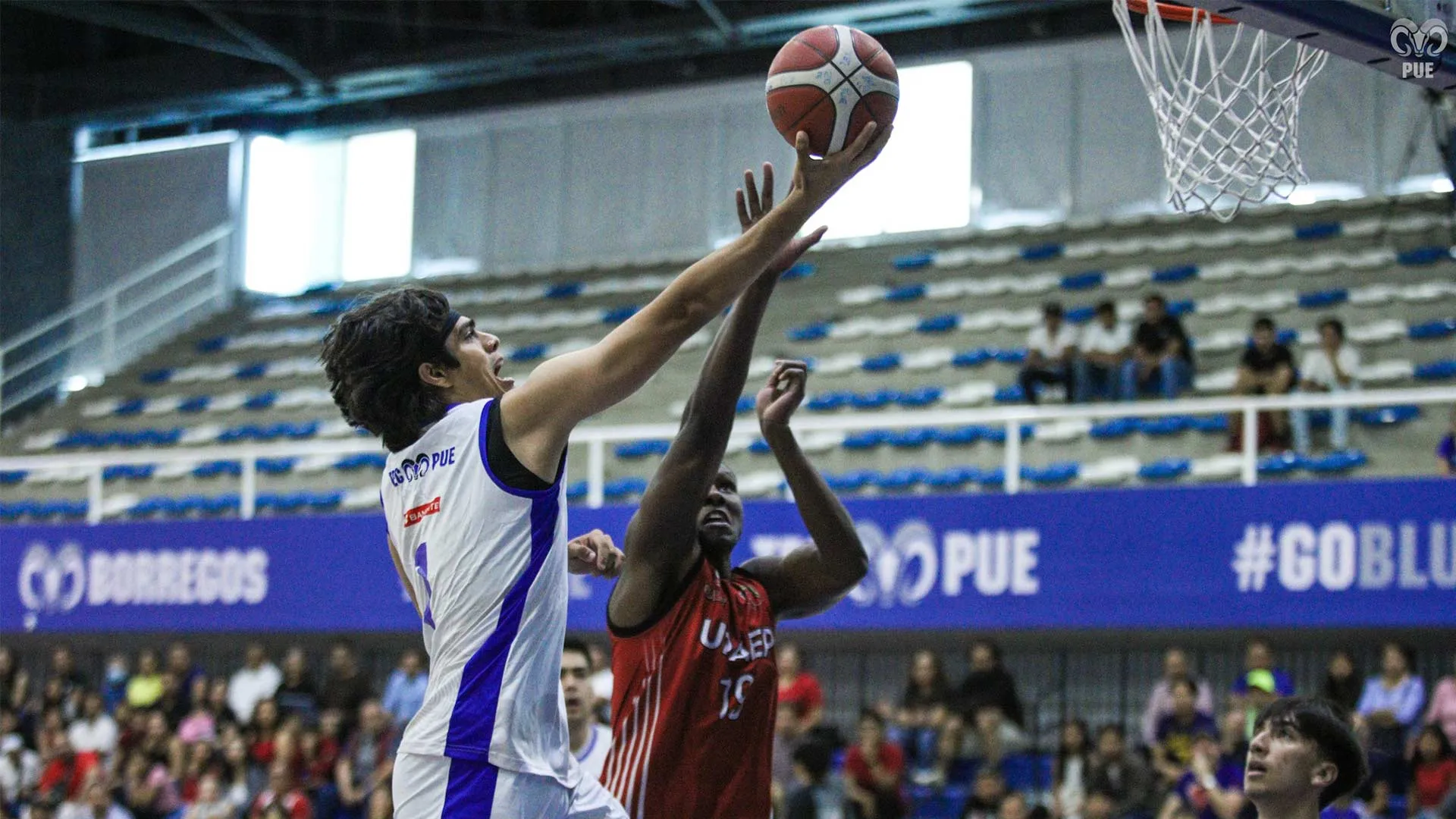 Borregos Puebla dieron su mejor esfuerzo en cada encuentro en la duela