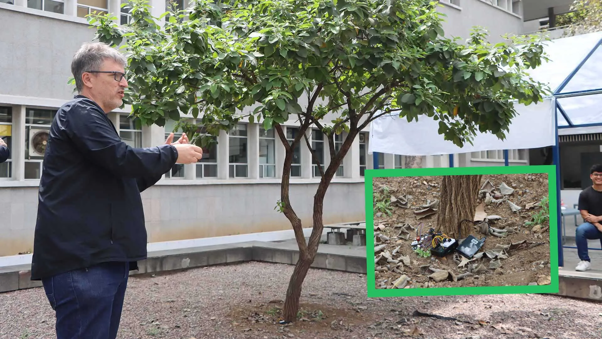 Monitorean salud de árboles con tecnología