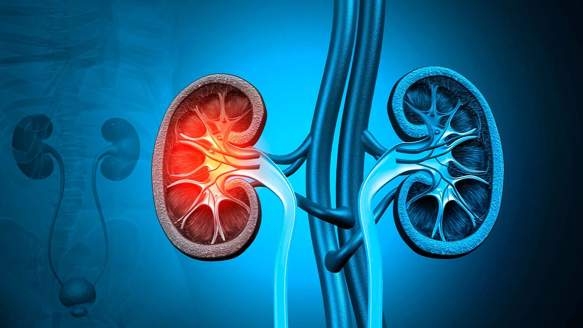 Estudiantes Tec ganan oro por iniciativa contra enfermedad renal