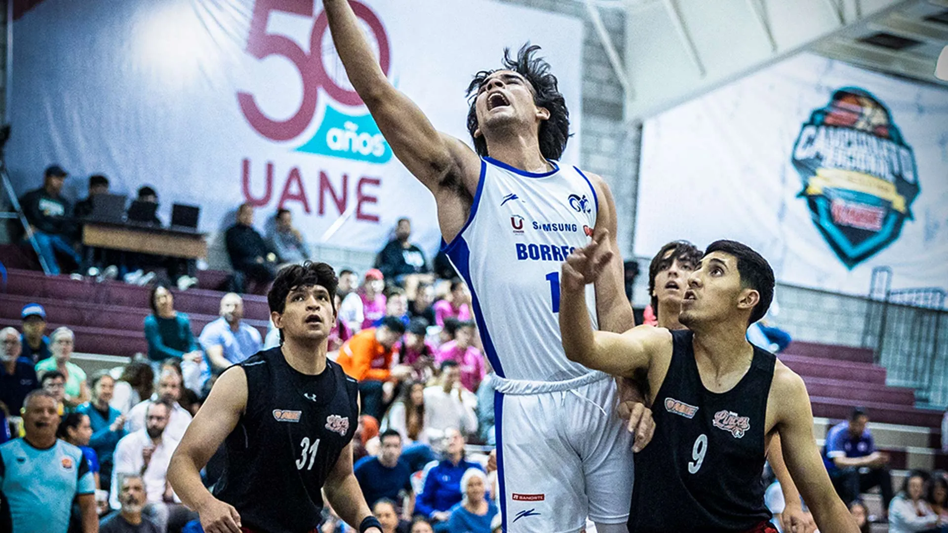 Borregos Tec Santa Fe de básquetbol a Primera División de Liga ABE