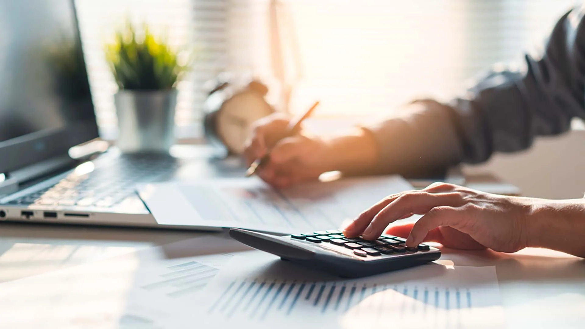 Contribuyente cumplido: paso a paso para hacer tu declaración anual