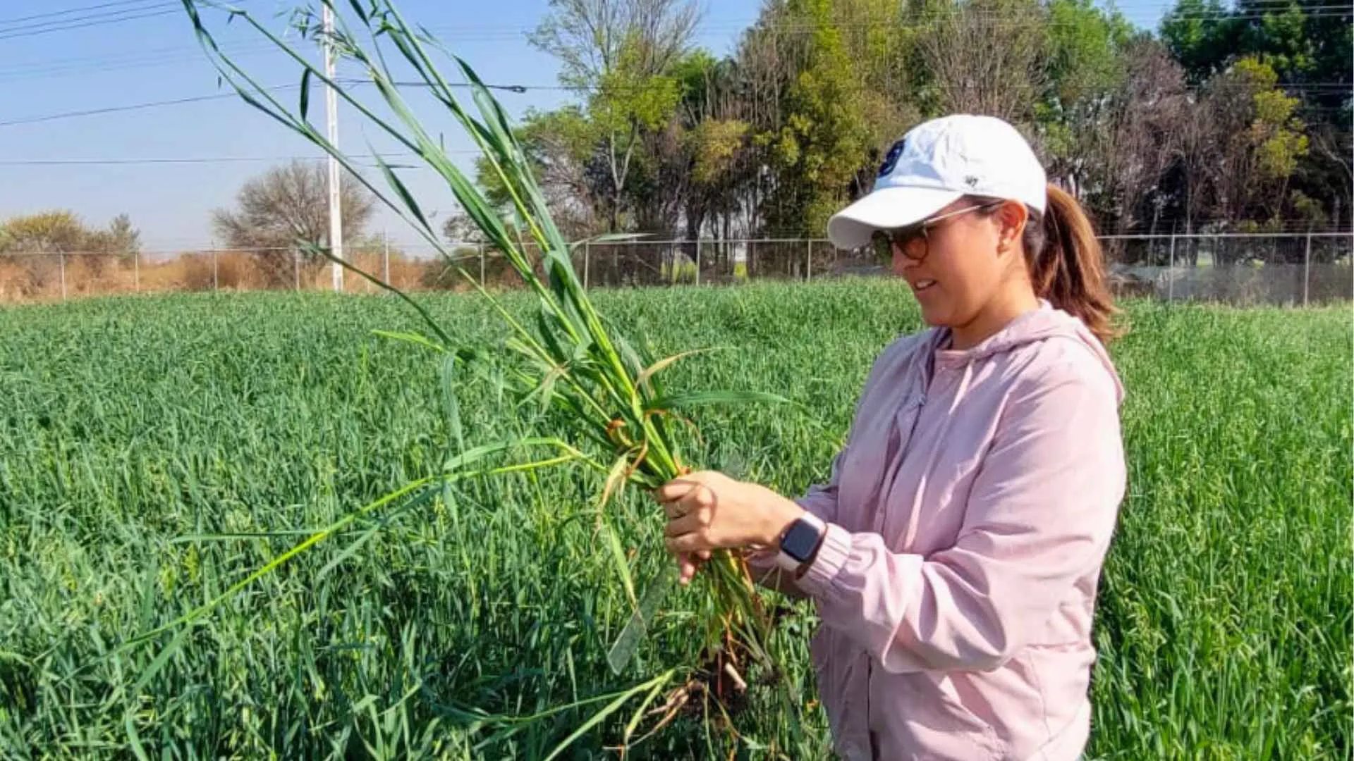 Estudiante del Tec Campus Querétaro durante su trabajo de campo en el CAETEC