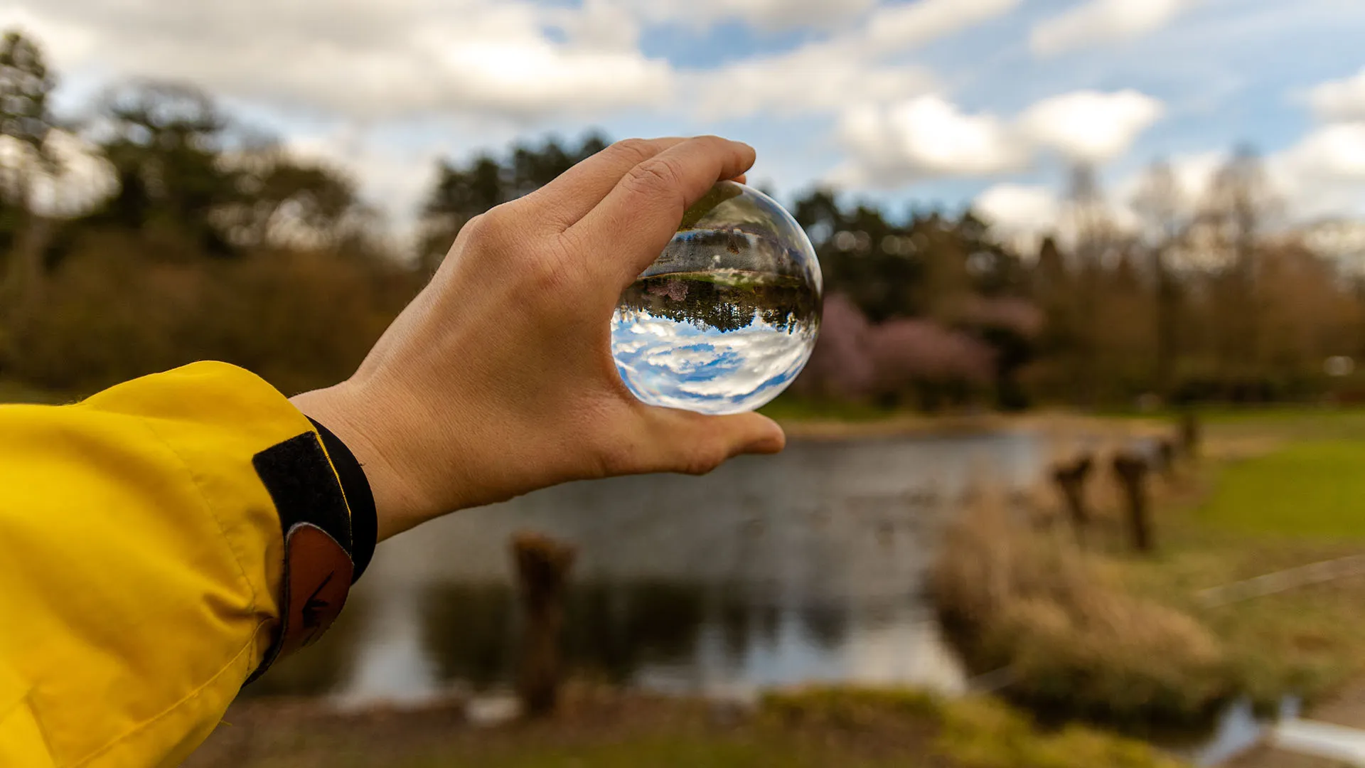 Profesores del Tec presentan emprendimientos que cuidan el agua