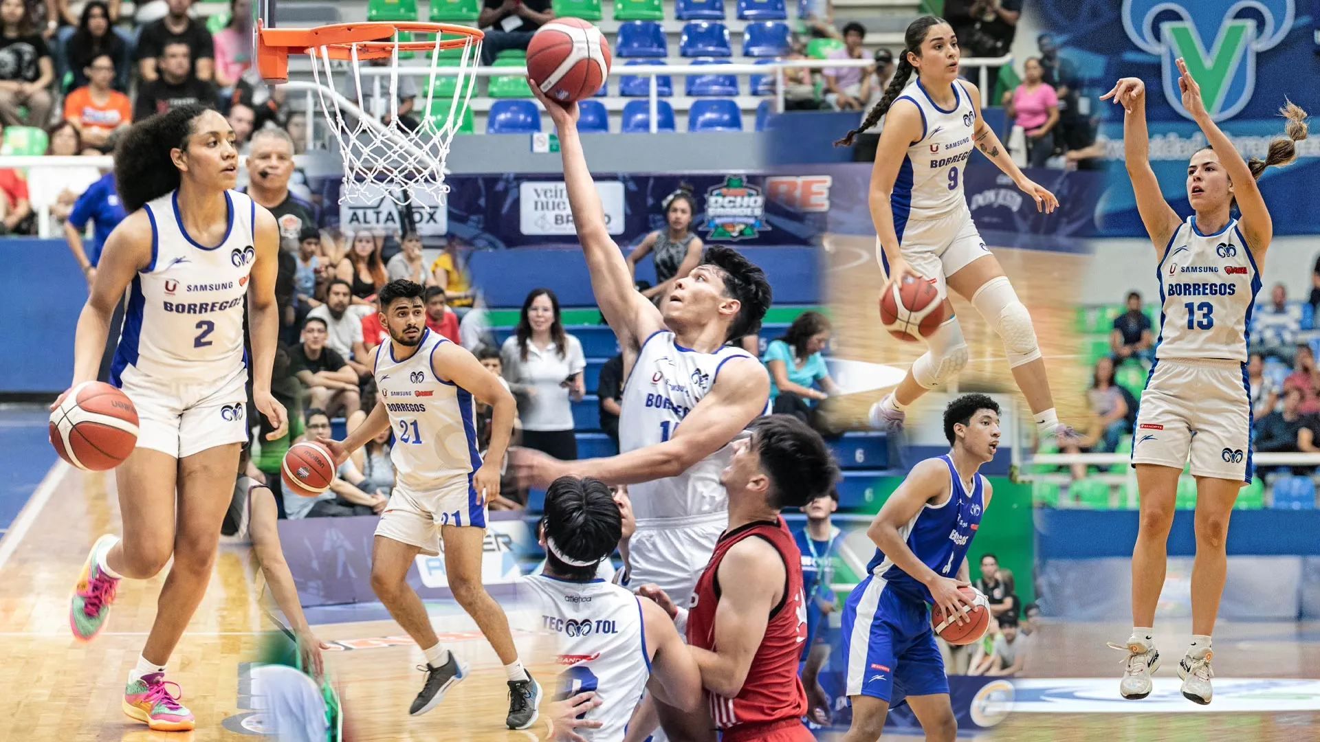 Las y los Borregos del Tec de Monterrey en los Ocho Grandes 2024.