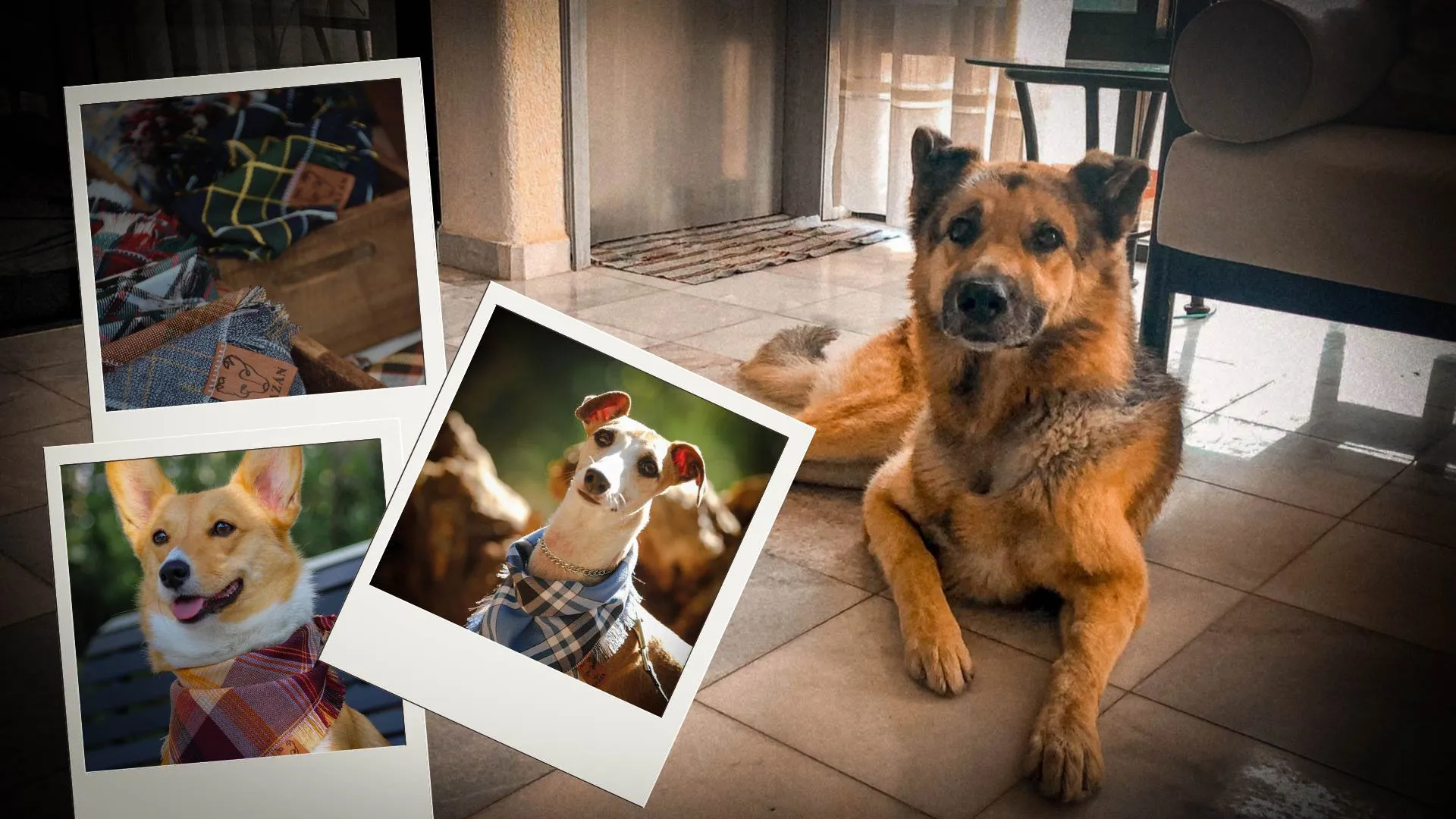 Estudiante Tec conmemora a su perro con emprendimiento