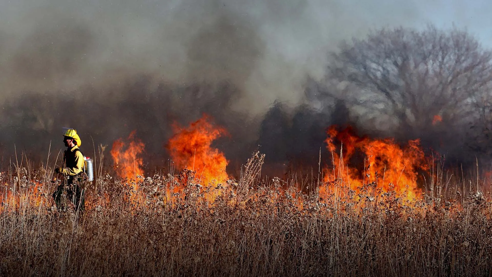 To NASA: Tec students go to world hackathon with app vs. forest fires