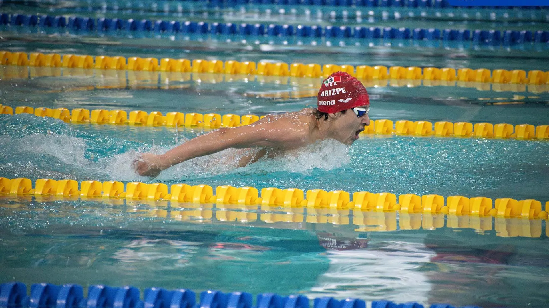 Borregos Mty de natación ¡triunfan en CCCAN!