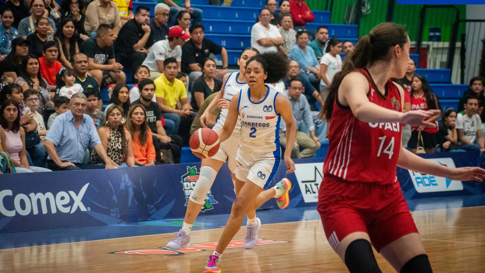 Anisa Jeffries: sobresale en el basquetbol a nivel nacional