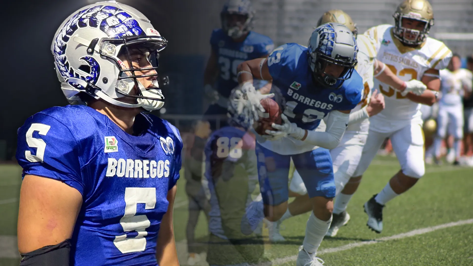 Borregos CCM va por el campeonato