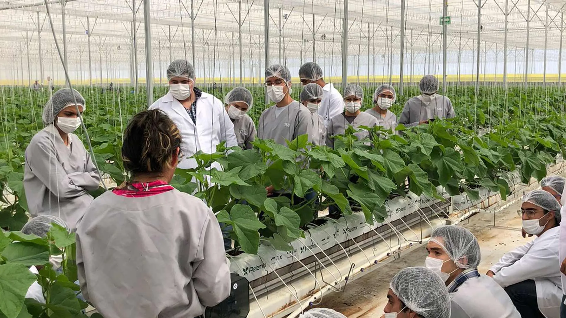 Alumnos en el Campo Agroexperimental del Tec de Monterrey