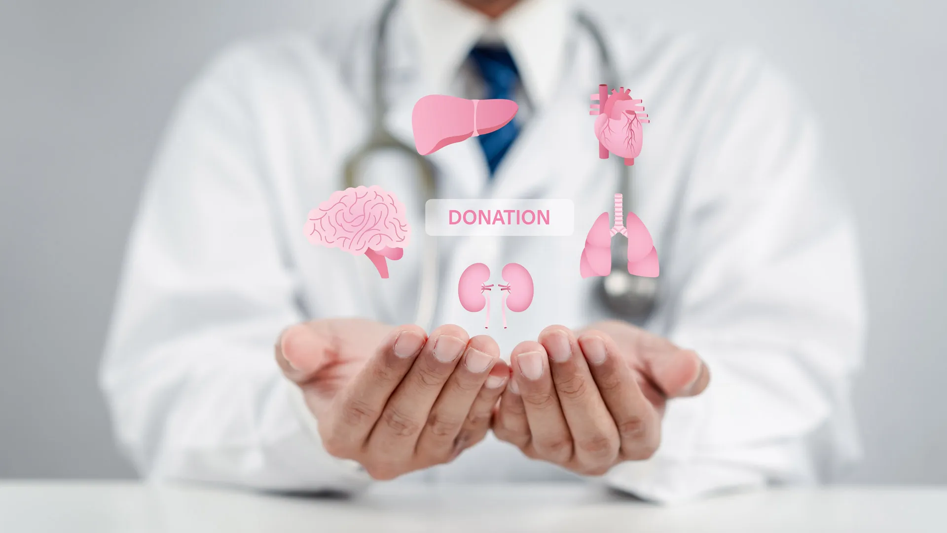 El 26 de septiembre de cada año se celebra en México el Día Nacional de Donación y Trasplante de Órganos y Tejidos. Foto: Pexels