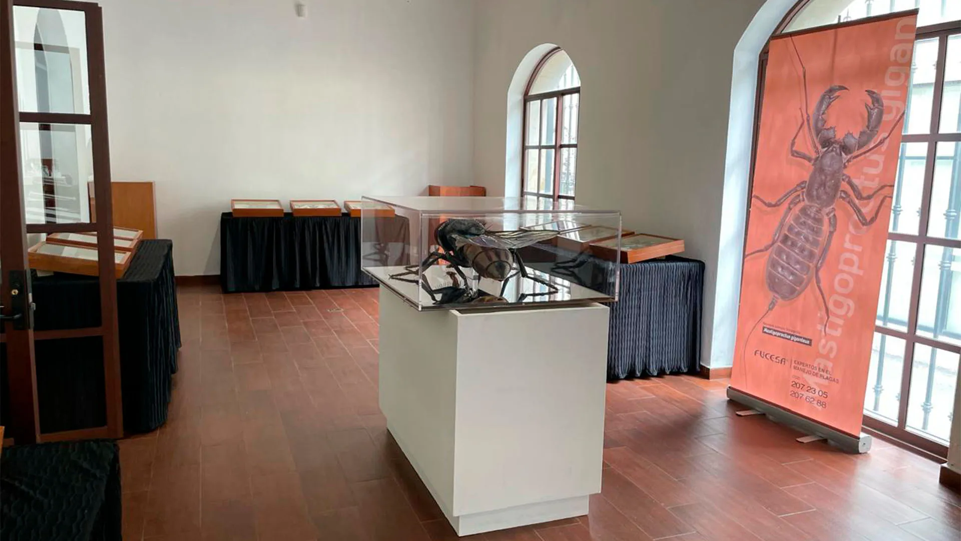 App de IA para Insectos: innovación de egresado de Tec Toluca