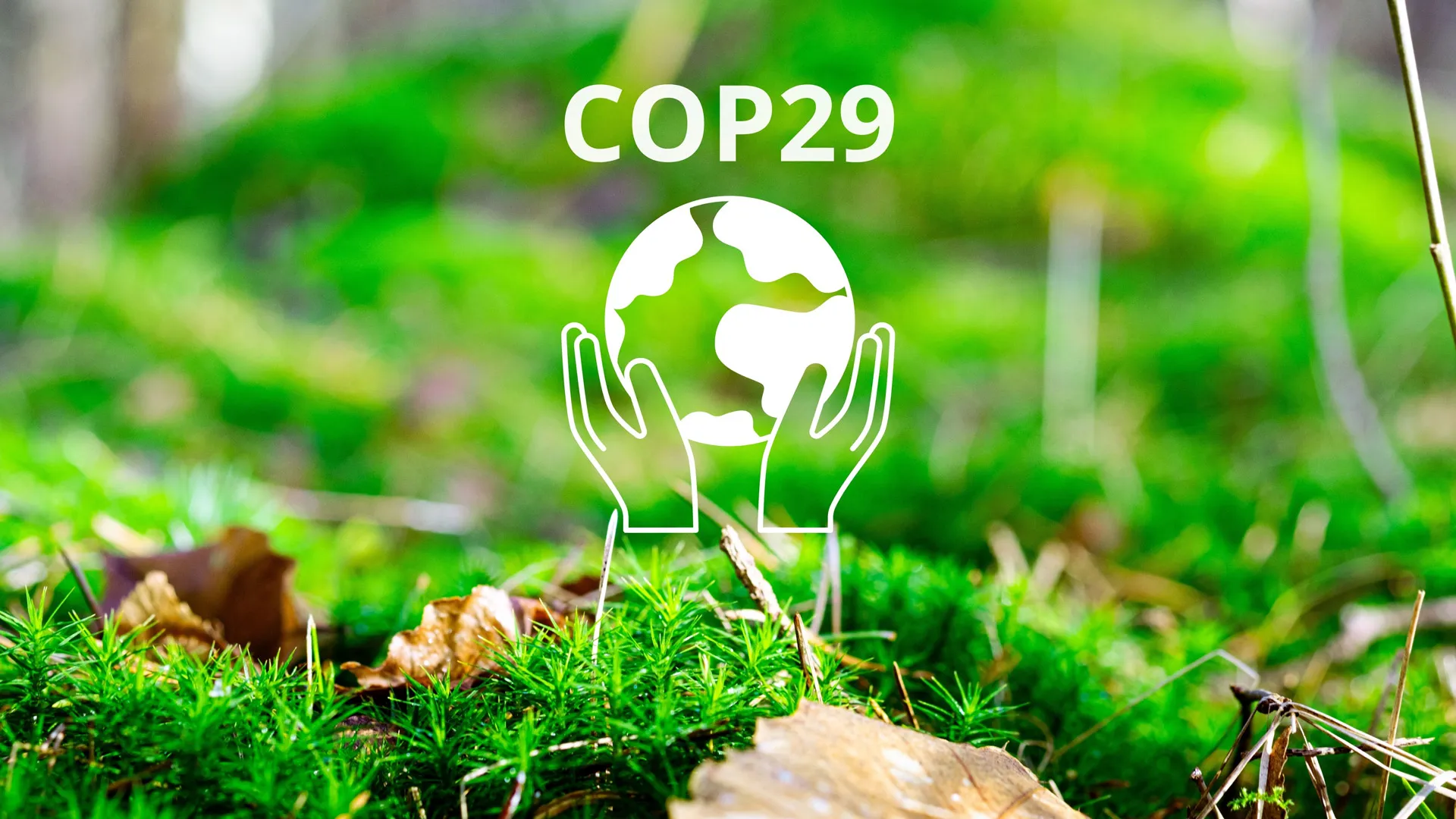 Acción climática: comunidad Tec comparte avances en reunión COP 29